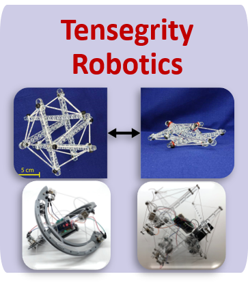 Tensegrity Robotics